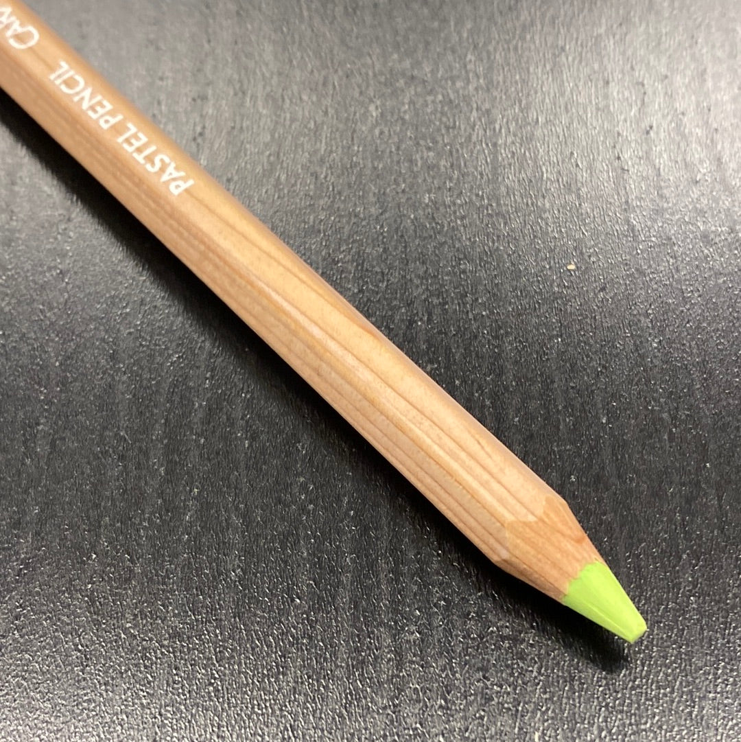 Caran d'Ache Pastelpotlood 730 Chinese Green