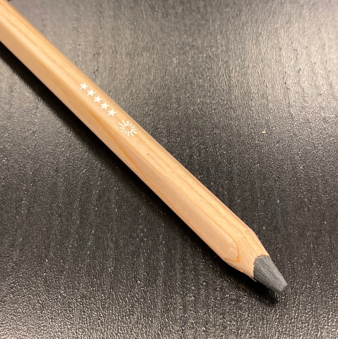 Caran d'Ache Pastelpotlood 495 Slate Grey