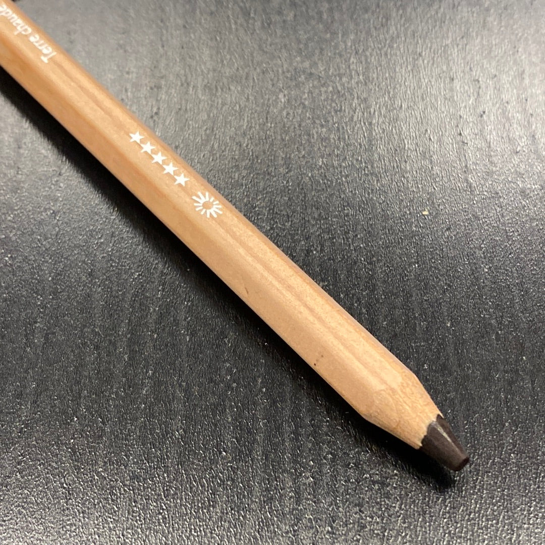 Caran d'Ache Pastelpotlood 748 Dark Flesh