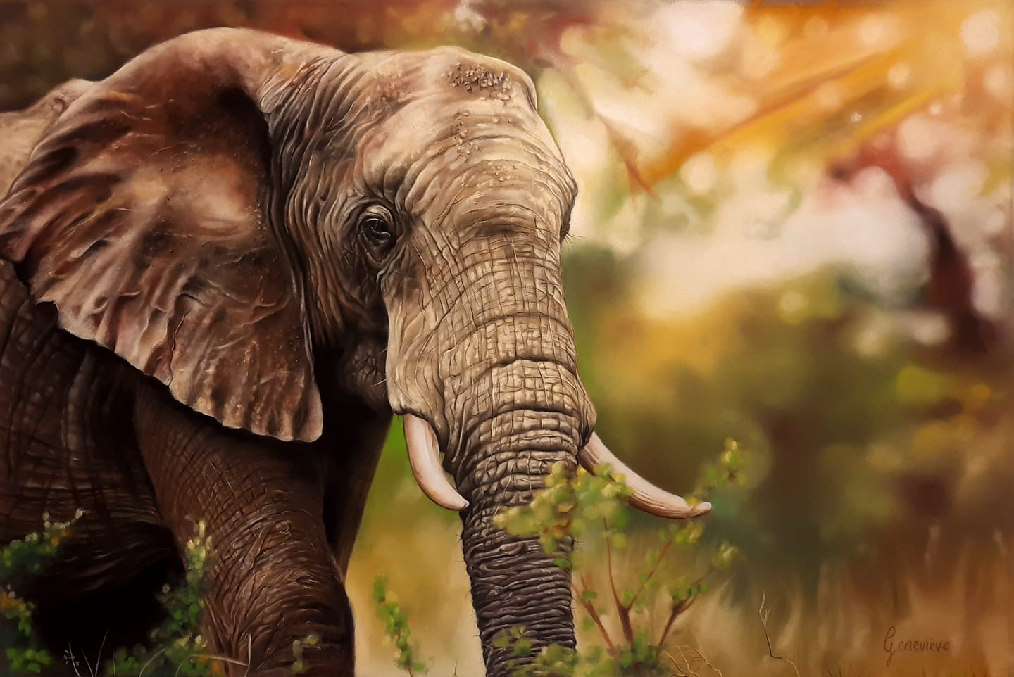 Pasteltekening van olifant