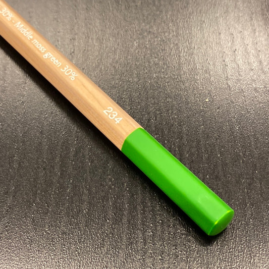 Caran d'Ache Pastelpotlood 234 Middle Moss Green 30%